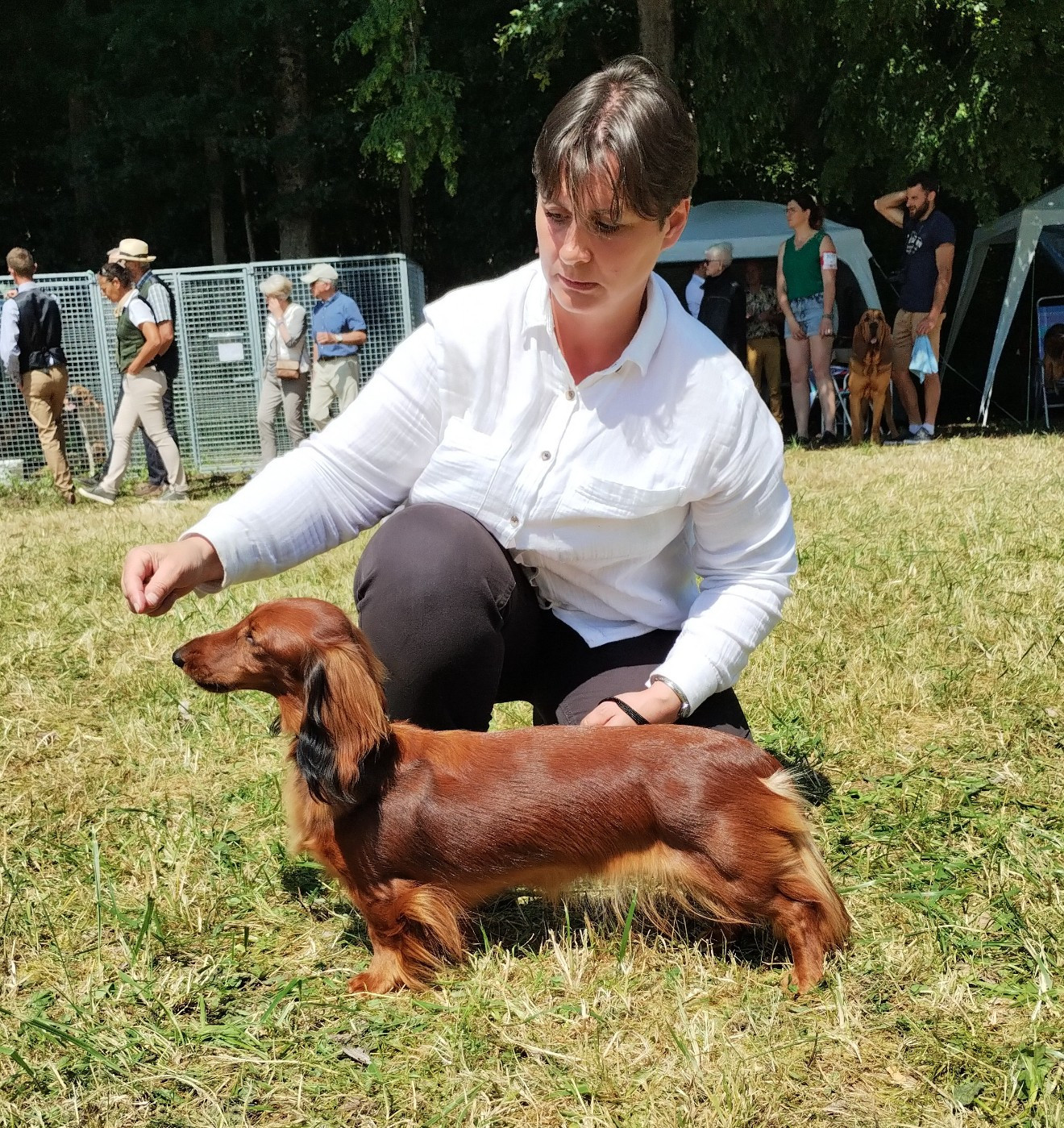 Tehani De La Cité Des Cerbères